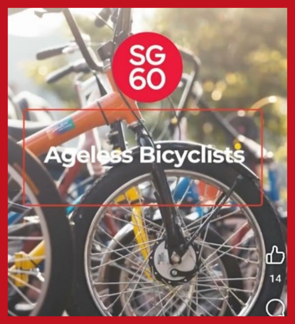 Ageless Bicyclists