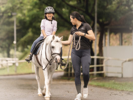 Equine Discovery Experience